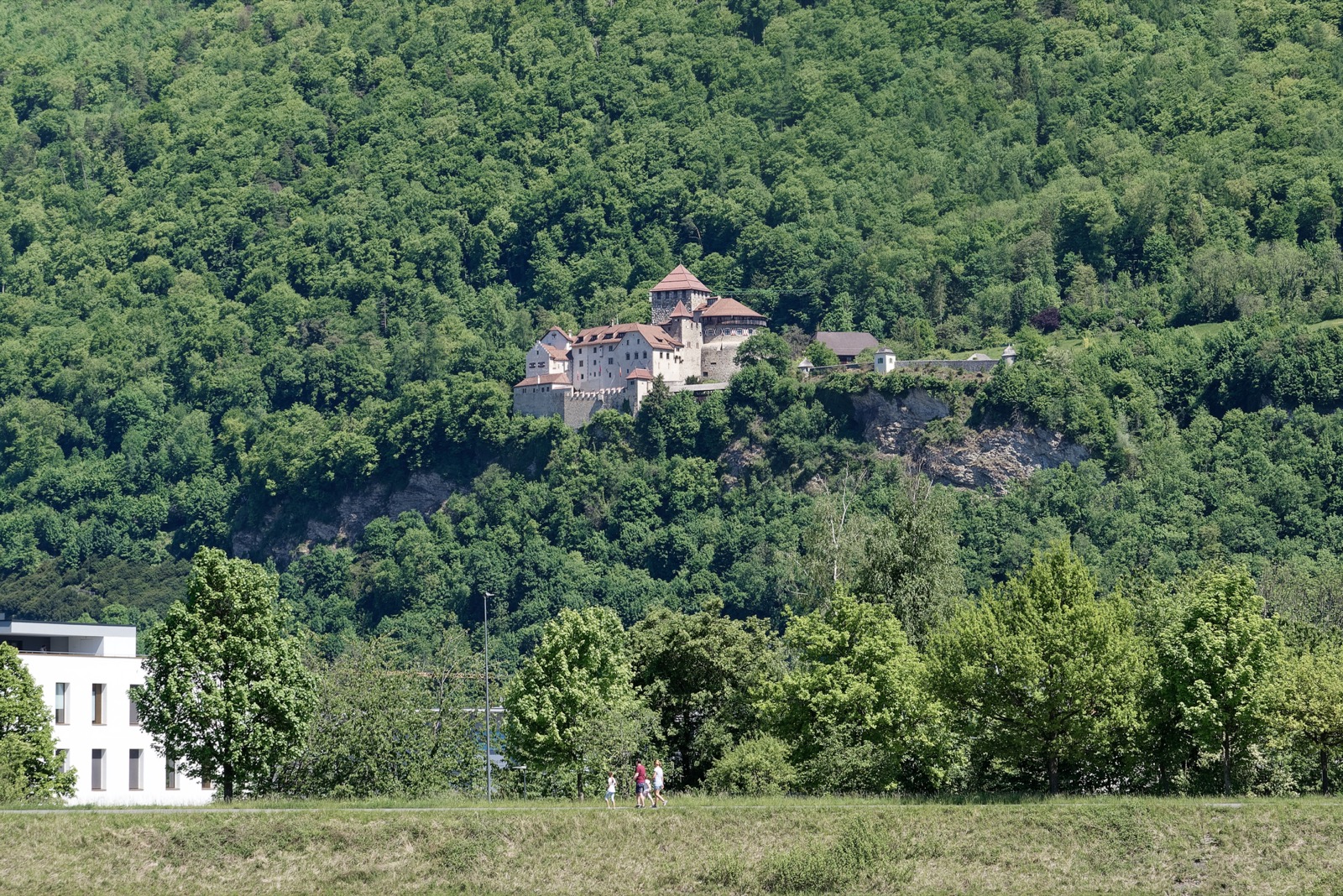 Vaduz Castle above the Rhine valley, 2 May 2025 — the residence of the Prince and the Hereditary Prince, where the house law amended by two-thirds of the family's voting members on 11 August 2026 was announced from the castle meadow
